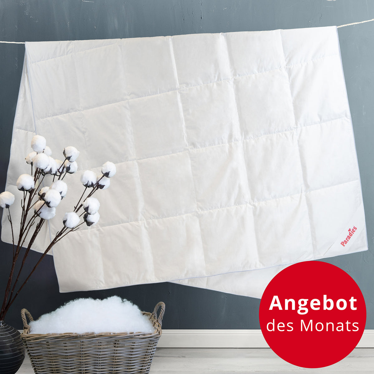 Titelbild Angebot des Monats: Gabi 90 Sommerdecke hängt an Leine