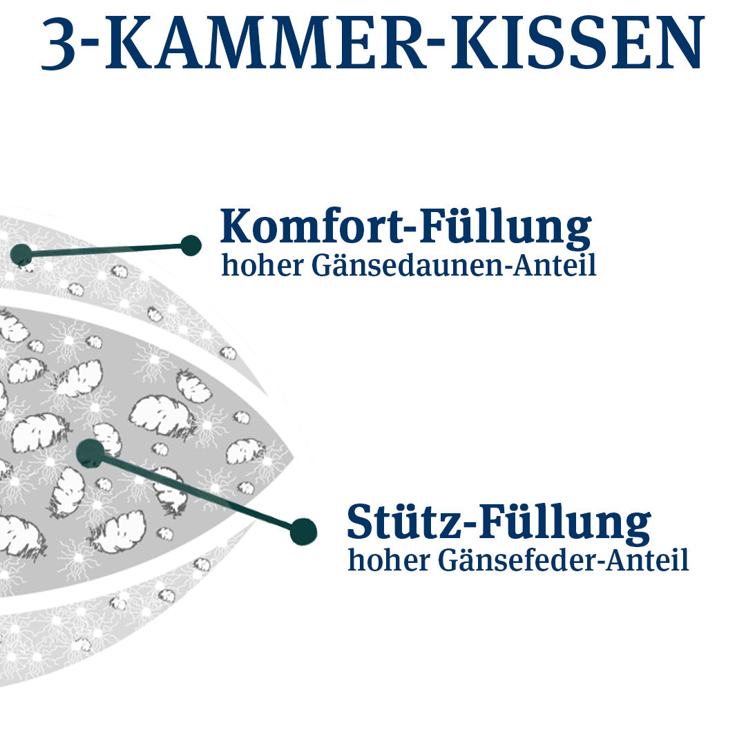 3-Kammer Daunenkissen · Abbie medium Bio